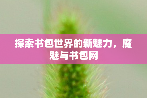 探索书包世界的新魅力图片
