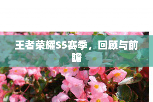 王者荣耀S5赛季图片