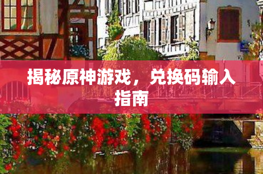 兑换码输入指南图片
