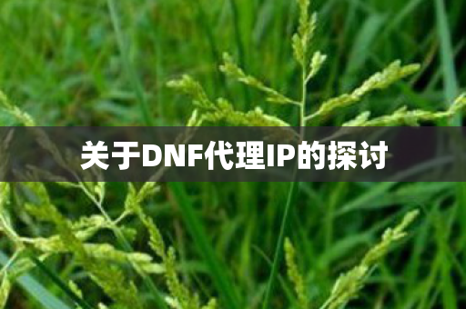 关于DNF代理IP的探讨图片