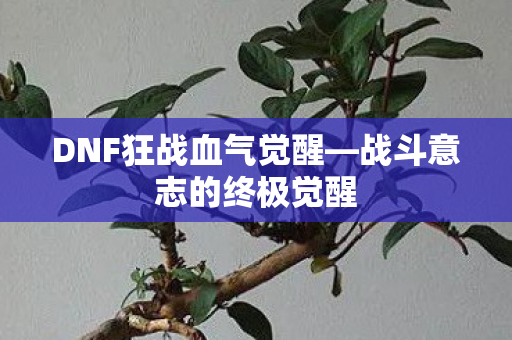 DNF狂战血气觉醒图片