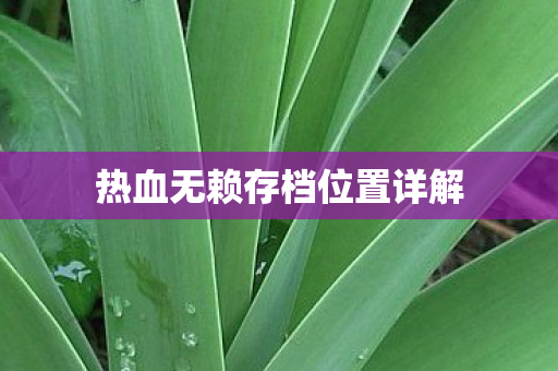 热血无赖存档位置详解图片