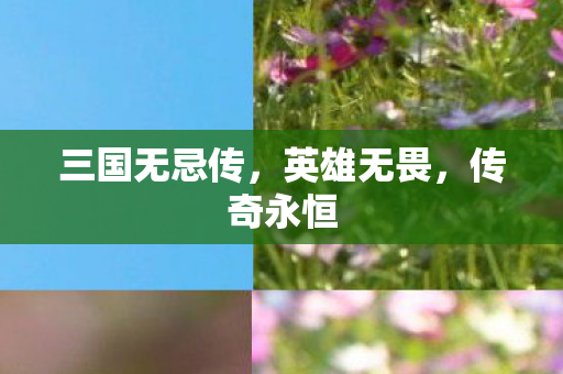三国无忌传图片