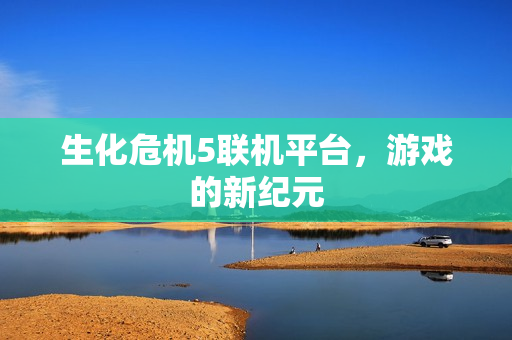 生化危机5联机平台图片