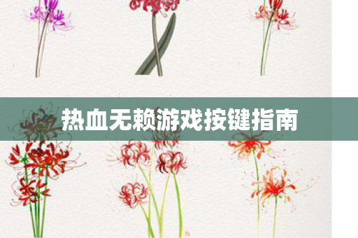 热血无赖游戏按键指南图片