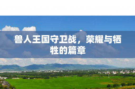 荣耀与牺牲的篇章图片