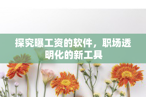 职场透明化的新工具图片