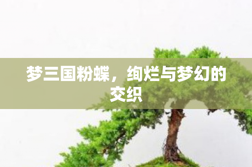 绚烂与梦幻的交织图片