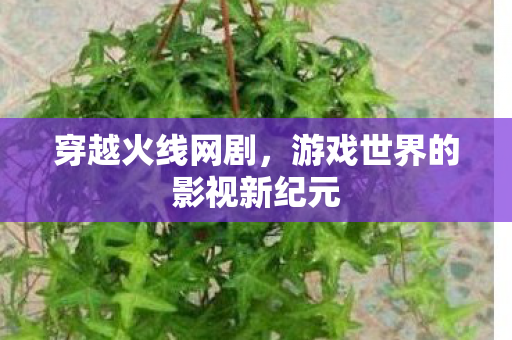 游戏世界的影视新纪元图片