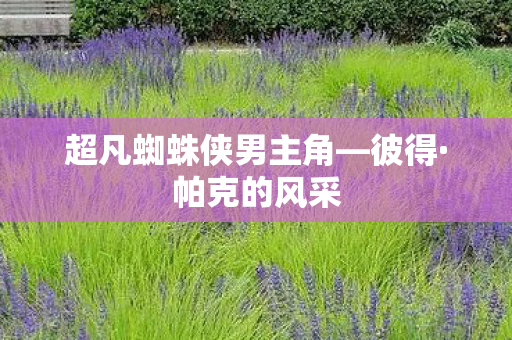 超凡蜘蛛侠男主角图片