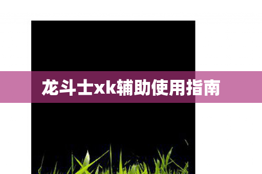龙斗士xk辅助使用指南图片