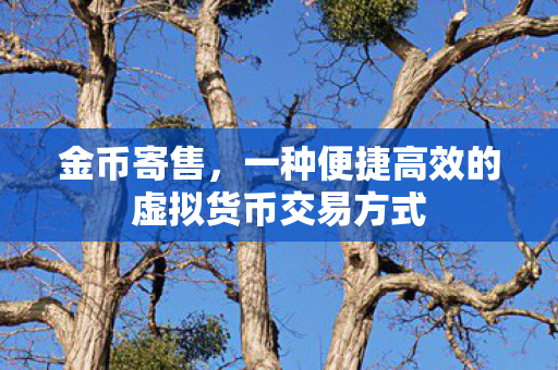 一种便捷高效的虚拟货币交易方式图片