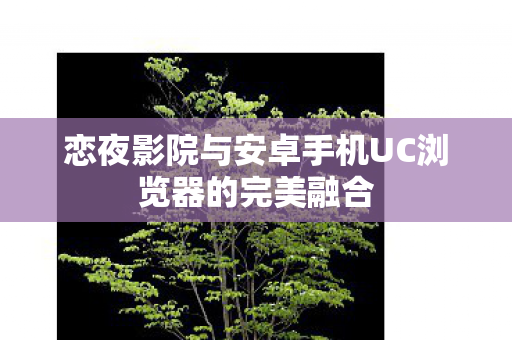 恋夜影院与安卓手机UC浏览器的完美融合图片