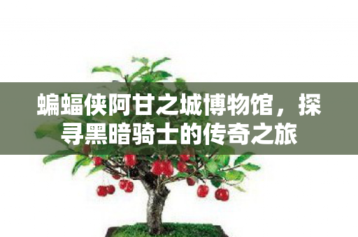 探寻黑暗骑士的传奇之旅图片
