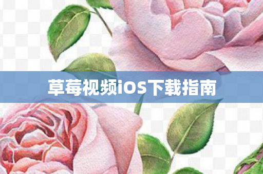 草莓视频iOS下载指南图片