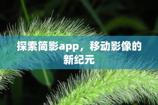 移动影像的新纪元图片