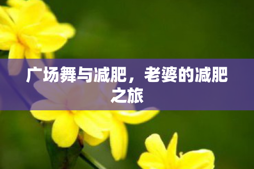 老婆的减肥之旅图片