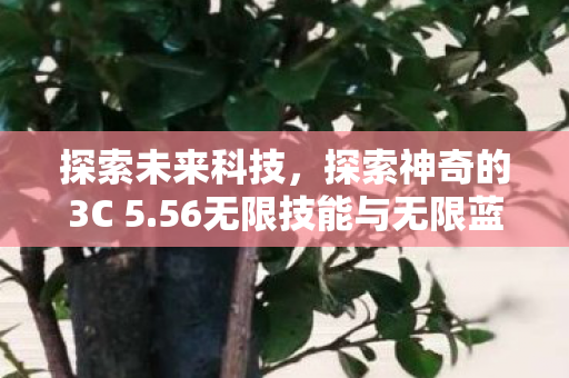 56无限技能与无限蓝技术图片