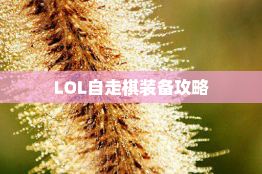 LOL自走棋装备攻略图片