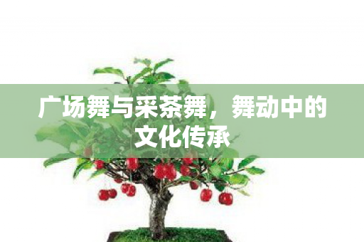 舞动中的文化传承图片