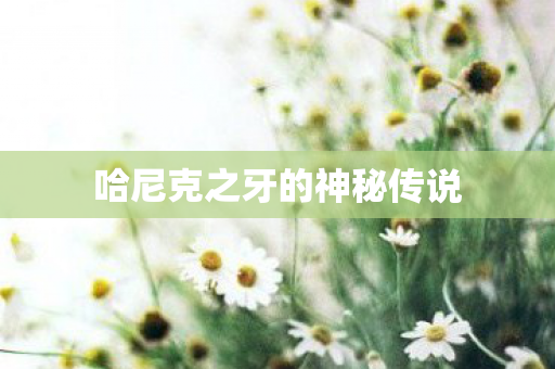 哈尼克之牙的神秘传说图片