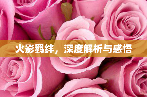 深度解析与感悟图片