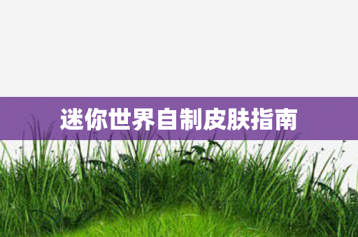 迷你世界自制皮肤指南图片