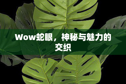 神秘与魅力的交织图片