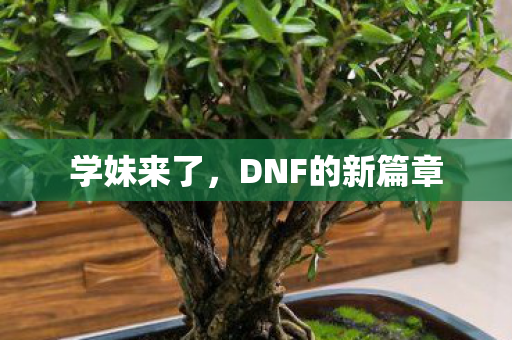DNF的新篇章图片
