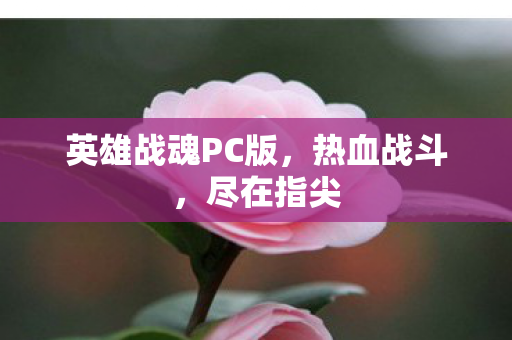 英雄战魂PC版图片