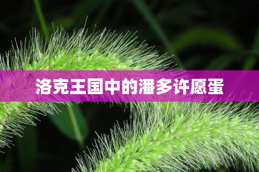 洛克王国中的潘多许愿蛋图片