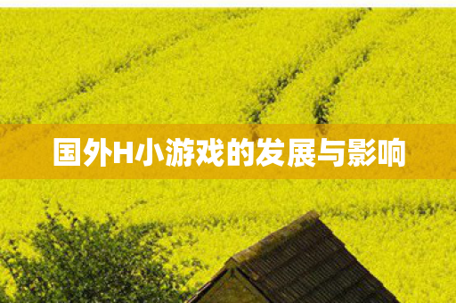国外H小游戏的发展与影响图片