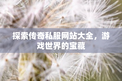 探索传奇私服网站大全图片