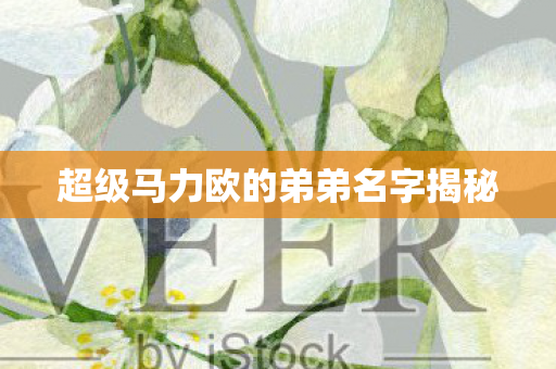 超级马力欧的弟弟名字揭秘图片