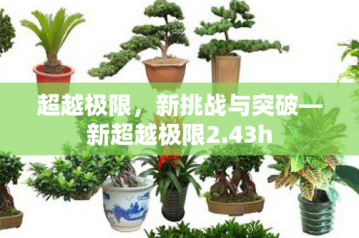 新挑战与突破图片