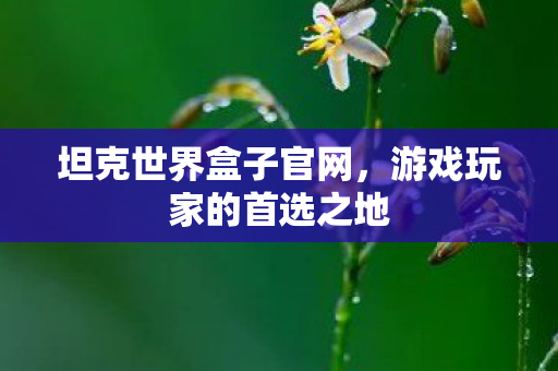 游戏玩家的首选之地图片