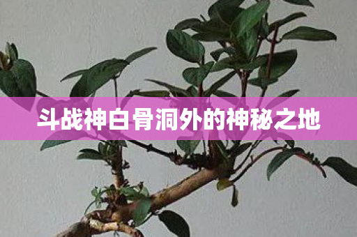 斗战神白骨洞外的神秘之地图片
