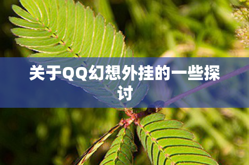 关于QQ幻想外挂的一些探讨图片