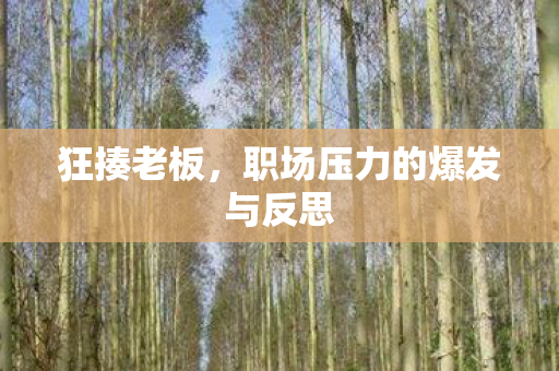 职场压力的爆发与反思图片