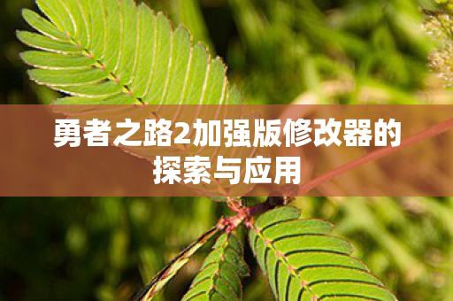 勇者之路2加强版修改器的探索与应用图片