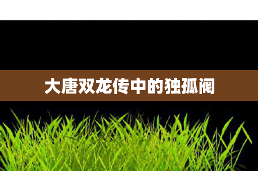 大唐双龙传中的独孤阀图片