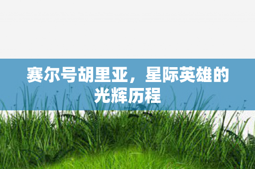 星际英雄的光辉历程图片