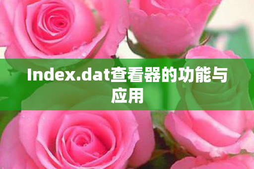 dat查看器的功能与应用图片