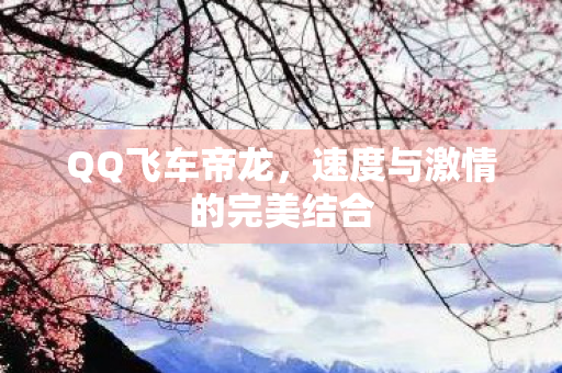 速度与激情的完美结合图片