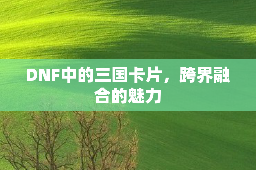 DNF中的三国卡片图片