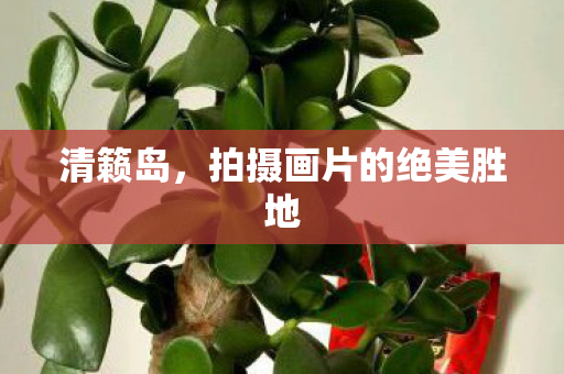 拍摄画片的绝美胜地图片