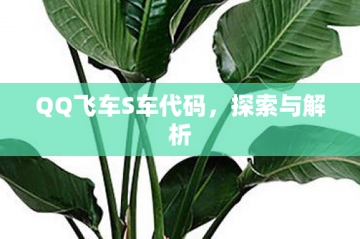 QQ飞车S车代码图片
