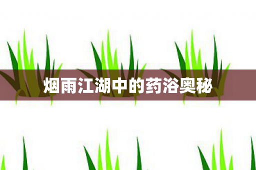 烟雨江湖中的药浴奥秘图片