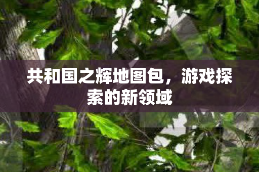 共和国之辉地图包图片