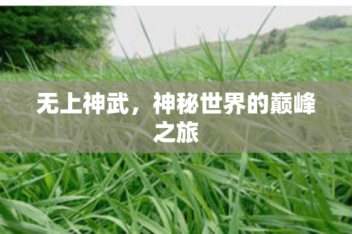 神秘世界的巅峰之旅图片